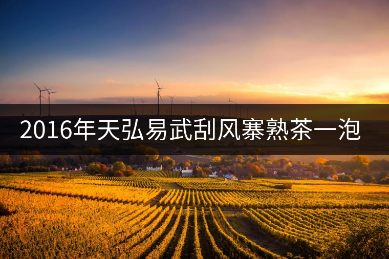 2016年天弘易武刮風(fēng)寨熟茶一泡耐人尋味！