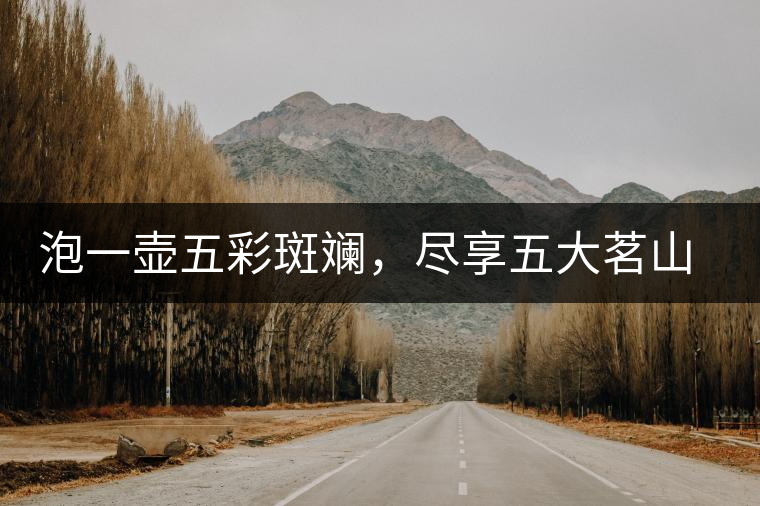 泡一壺五彩斑斕，盡享五大茗山之味