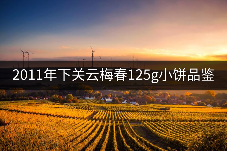 2011年下關(guān)云梅春125g小餅品鑒