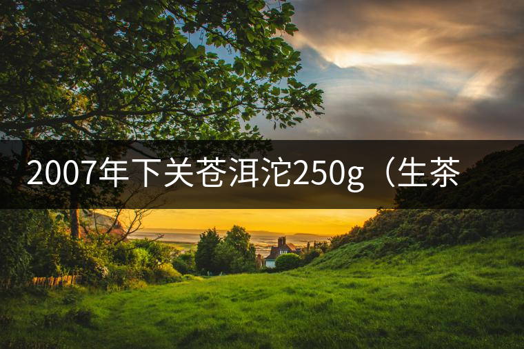 2007年下關(guān)蒼洱沱250g(生茶)品評(píng) 2007年下關(guān)蒼洱沱250g(生茶)品評(píng)