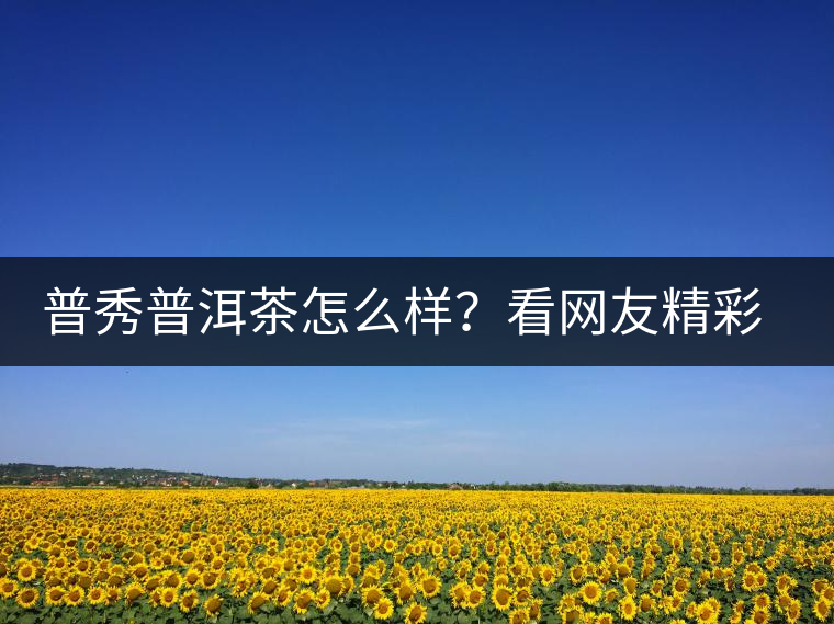 普秀普洱茶怎么樣？看網(wǎng)友精彩回答