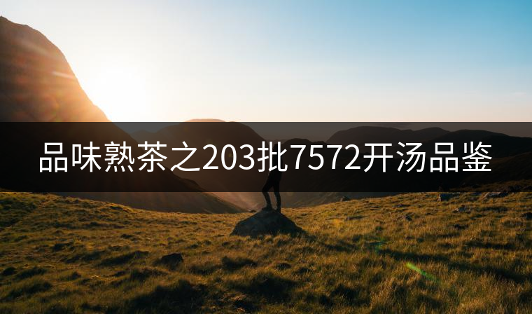 品味熟茶之203批7572開(kāi)湯品鑒