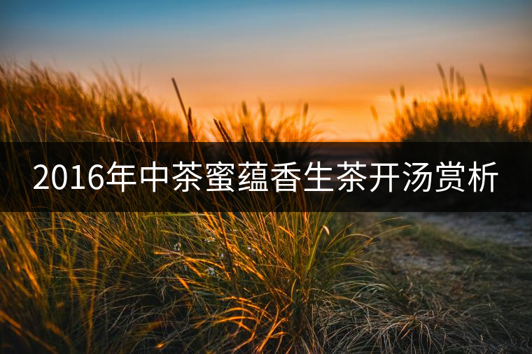 2016年中茶蜜蘊(yùn)香生茶開湯賞析 2016年中茶蜜蘊(yùn)香生茶開湯賞析