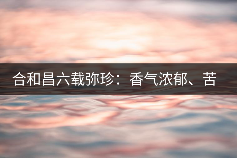 合和昌六載彌珍：香氣濃郁、苦澀均衡