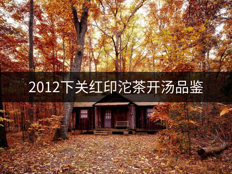 2012下關紅印沱茶開湯品鑒 2012下關紅印沱茶開湯品鑒