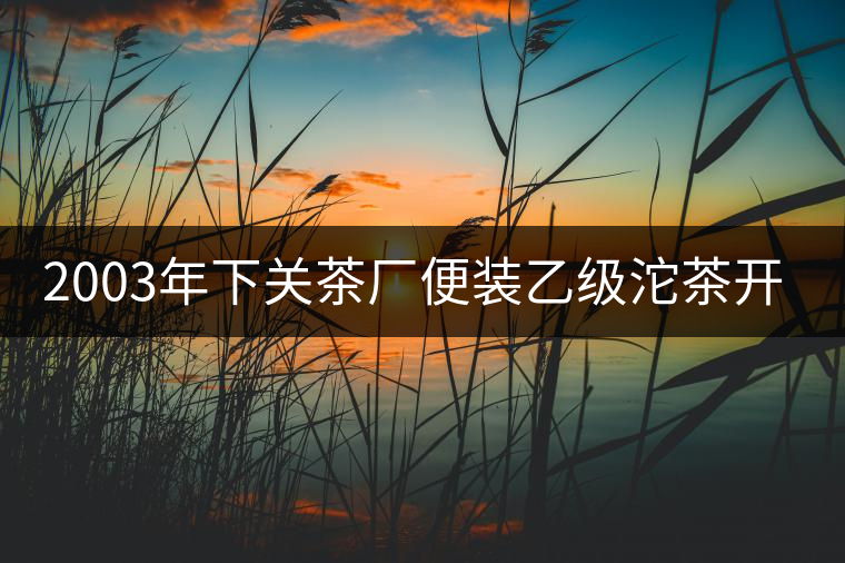 2003年下關(guān)茶廠(chǎng)便裝乙級(jí)沱茶開(kāi)湯品鑒 2003年下關(guān)茶廠(chǎng)便裝乙級(jí)沱茶開(kāi)湯品鑒