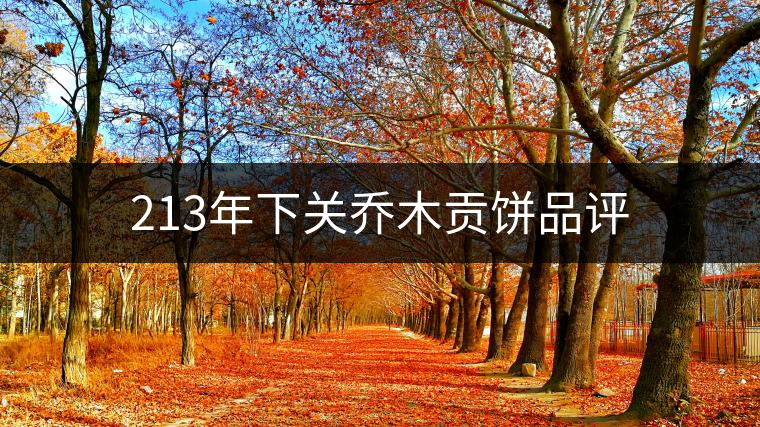 213年下關(guān)喬木貢餅品評(píng) 213年下關(guān)喬木貢餅品評(píng)