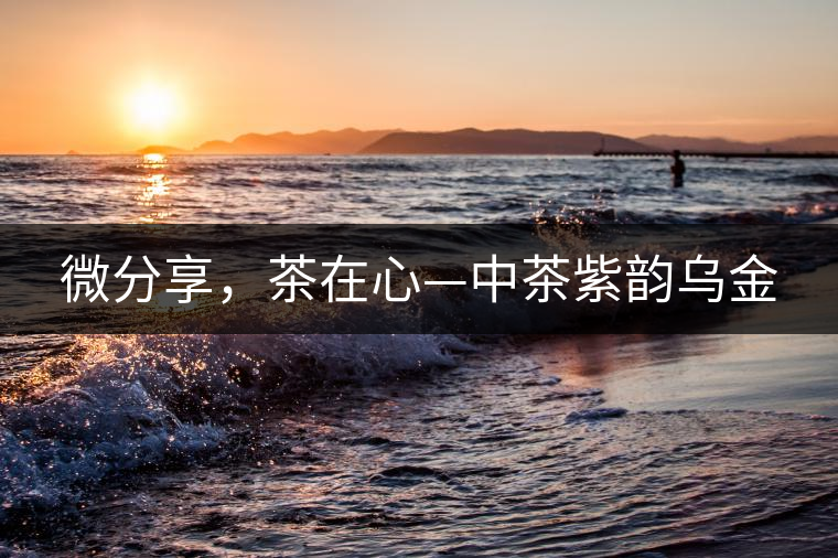 微分享，茶在心—中茶紫韻烏金