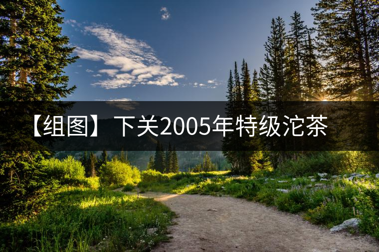 【組圖】下關(guān)2005年特級(jí)沱茶開(kāi)湯 【組圖】下關(guān)2005年特級(jí)沱茶開(kāi)湯