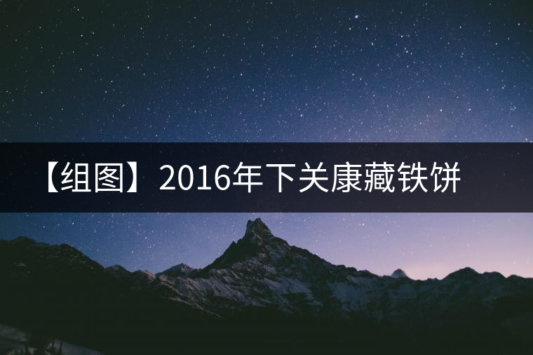 【組圖】2016年下關康藏鐵餅開湯品鑒 【組圖】2016年下關康藏鐵餅開湯品鑒