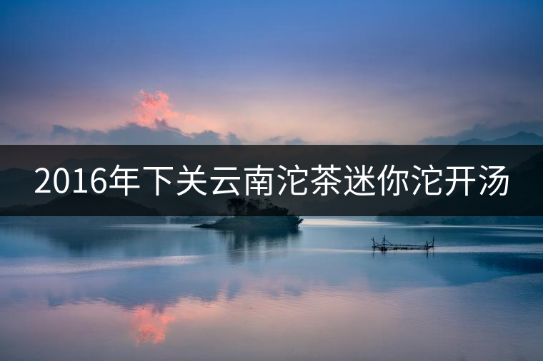 2016年下關(guān)云南沱茶迷你沱開(kāi)湯 2016年下關(guān)云南沱茶迷你沱開(kāi)湯