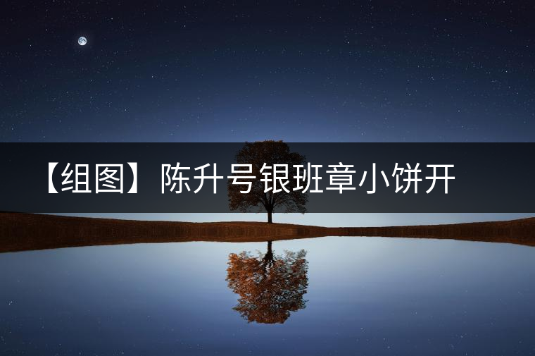 【組圖】陳升號銀班章小餅開湯