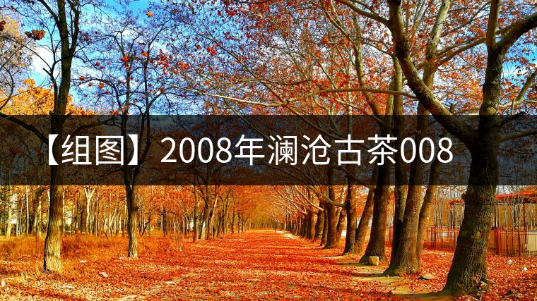 【組圖】2008年瀾滄古茶0085熟餅開(kāi)湯