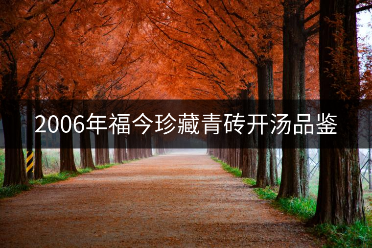 2006年福今珍藏青磚開湯品鑒 2006年福今珍藏青磚開湯品鑒