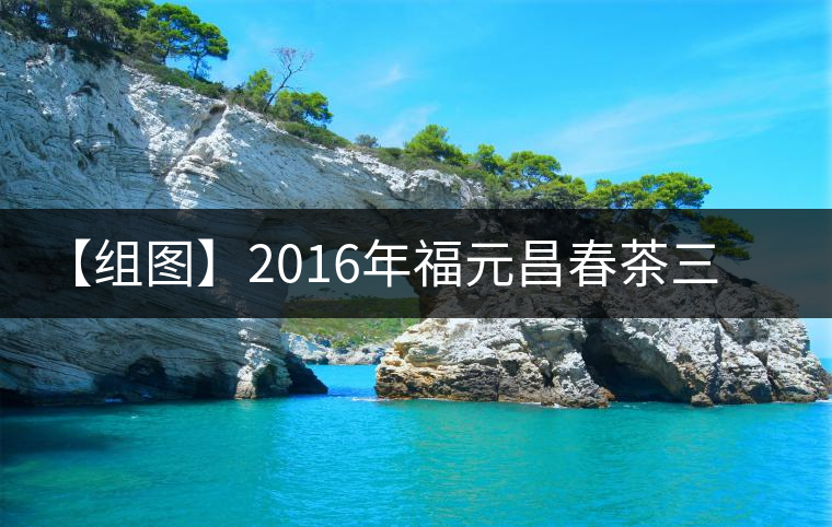 【組圖】2016年福元昌春茶三月拔瑪小餅開(kāi)湯 【組圖】2016年福元昌春茶三月拔瑪小餅開(kāi)湯
