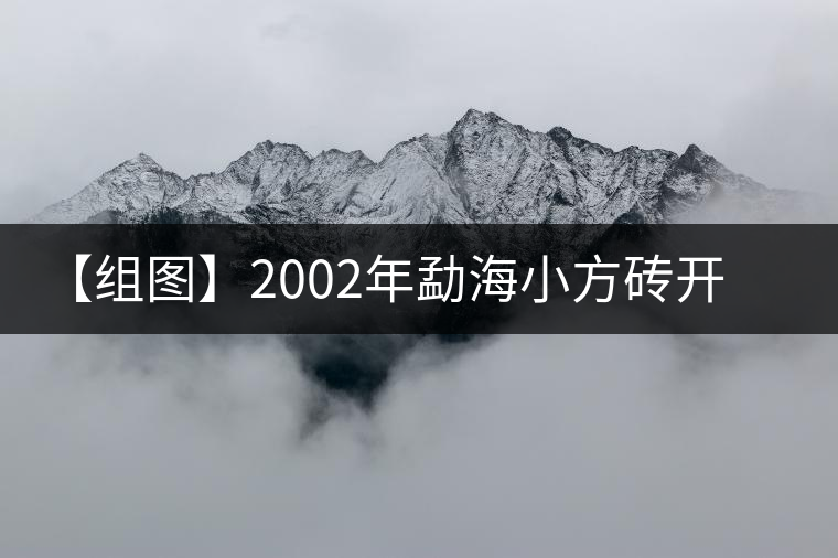 【組圖】2002年勐海小方磚開湯