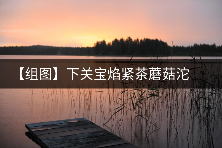 【組圖】下關寶焰緊茶蘑菇沱開湯