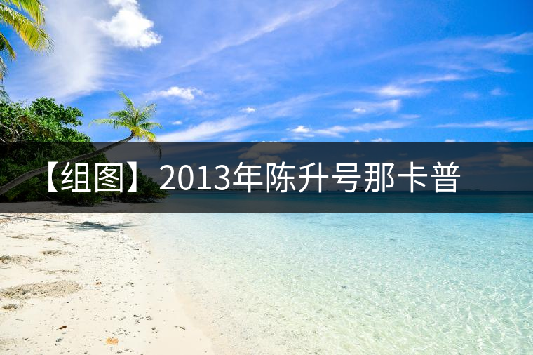 【組圖】2013年陳升號(hào)那卡普洱茶開湯