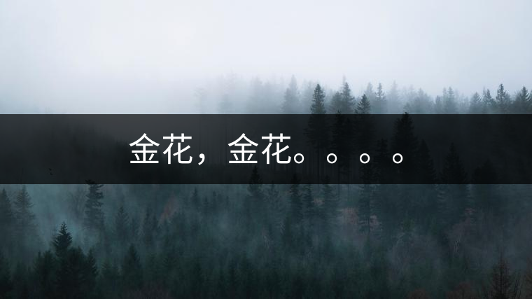 金花，金花。。。。