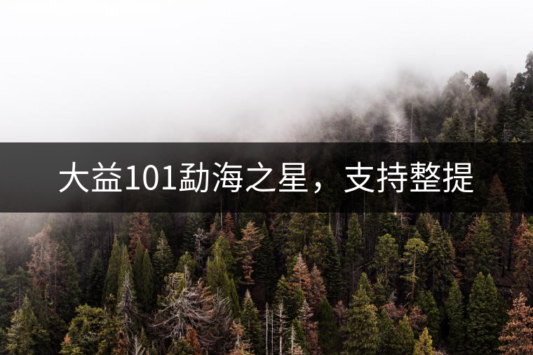 大益101勐海之星，支持整提