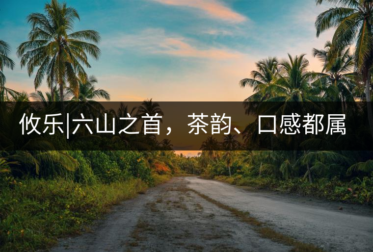 攸樂|六山之首，茶韻、口感都屬古六山一系
