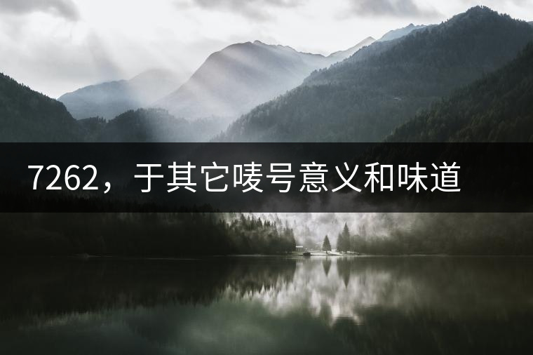 7262，于其它嘜號(hào)意義和味道都不一樣的大益高等級(jí)熟餅