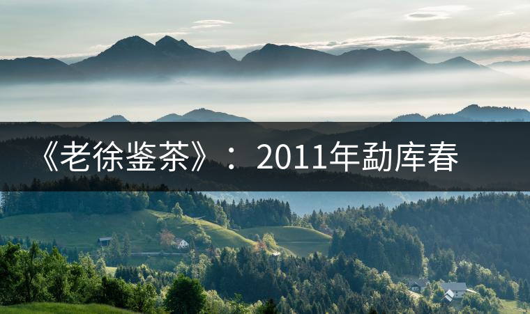 《老徐鑒茶》：2011年勐庫(kù)春茶品鑒報(bào)告