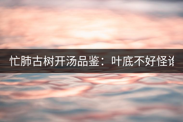 忙肺古樹(shù)開(kāi)湯品鑒：葉底不好怪誰(shuí)？