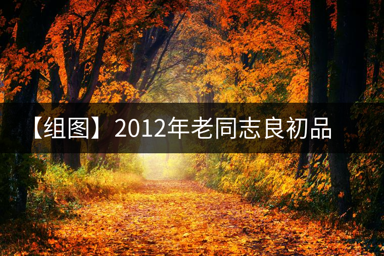 【組圖】2012年老同志良初品熟茶開湯