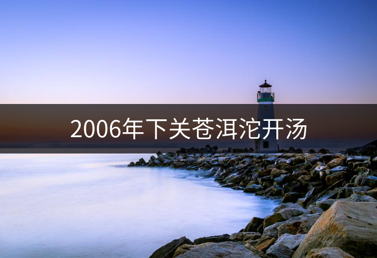 2006年下關(guān)蒼洱沱開湯 2006年下關(guān)蒼洱沱開湯