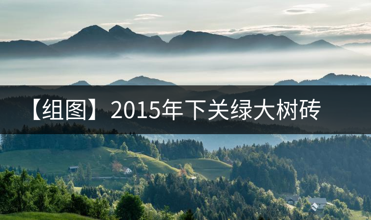 【組圖】2015年下關(guān)綠大樹(shù)磚茶開(kāi)湯 【組圖】2015年下關(guān)綠大樹(shù)磚茶開(kāi)湯