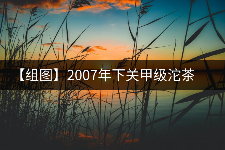 【組圖】2007年下關(guān)甲級(jí)沱茶開(kāi)湯 【組圖】2007年下關(guān)甲級(jí)沱茶開(kāi)湯