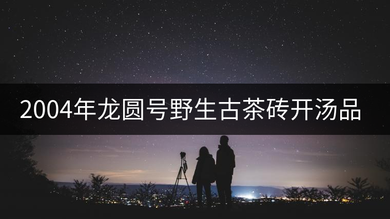 2004年龍圓號野生古茶磚開湯品鑒