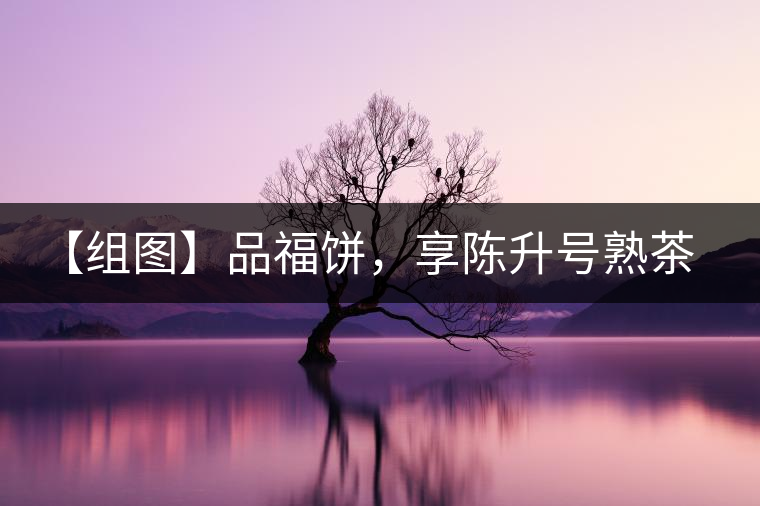 【組圖】品福餅，享陳升號(hào)熟茶滋味