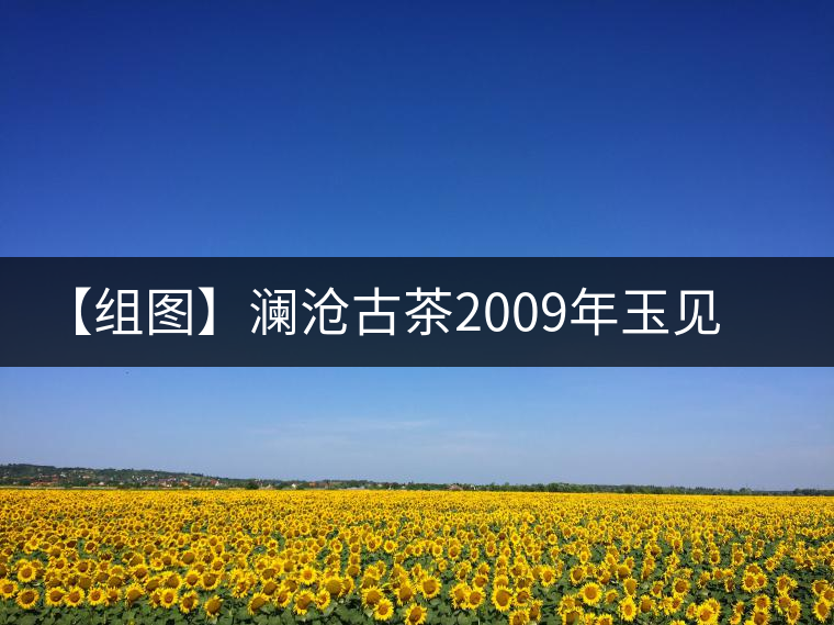 【組圖】瀾滄古茶2009年玉見金牛磚茶開湯 【組圖】瀾滄古茶2009年玉見金牛磚茶開湯