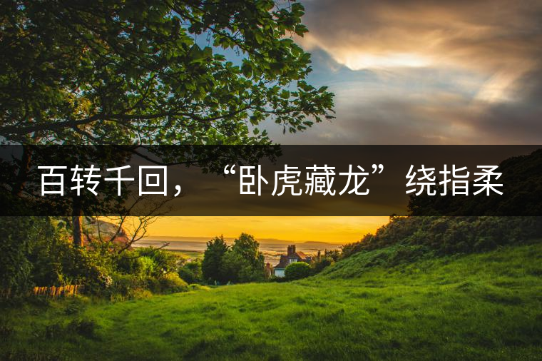 百轉(zhuǎn)千回，“臥虎藏龍”繞指柔