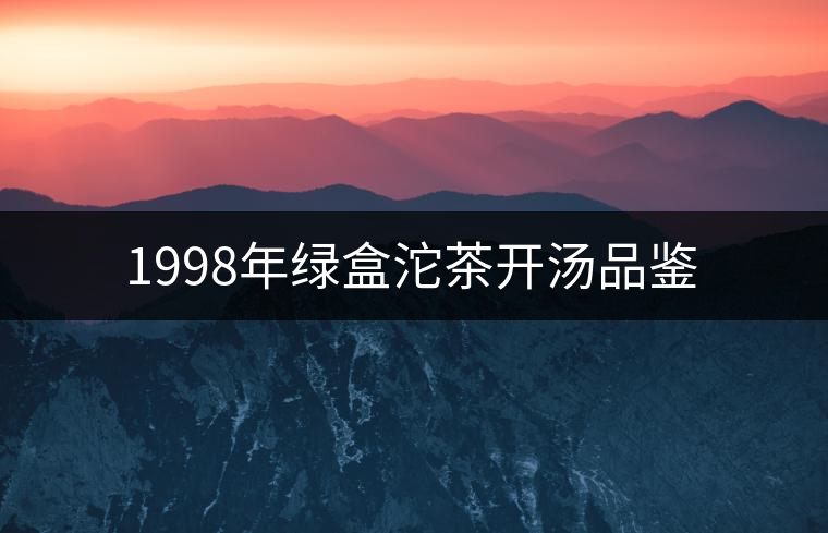 1998年綠盒沱茶開湯品鑒