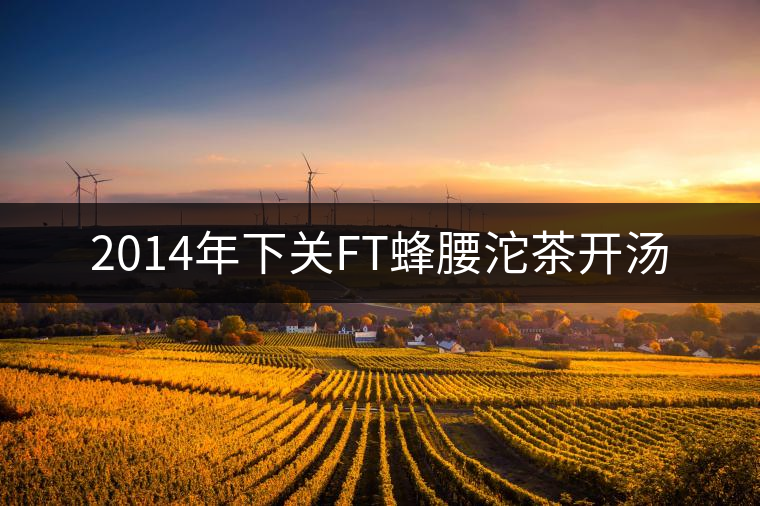 2014年下關(guān)FT蜂腰沱茶開(kāi)湯 2014年下關(guān)FT蜂腰沱茶開(kāi)湯