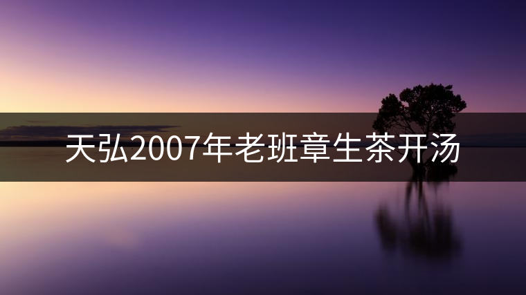 天弘2007年老班章生茶開(kāi)湯