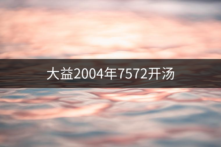 大益2004年7572開湯