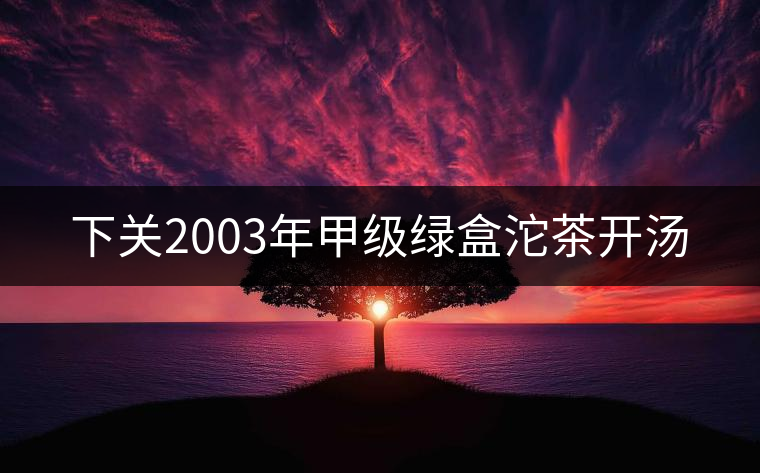 下關2003年甲級綠盒沱茶開湯 下關2003年甲級綠盒沱茶開湯