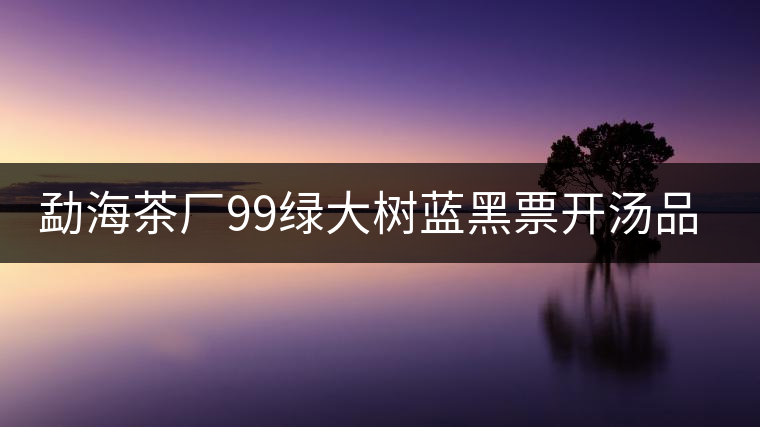 勐海茶廠99綠大樹藍黑票開湯品鑒