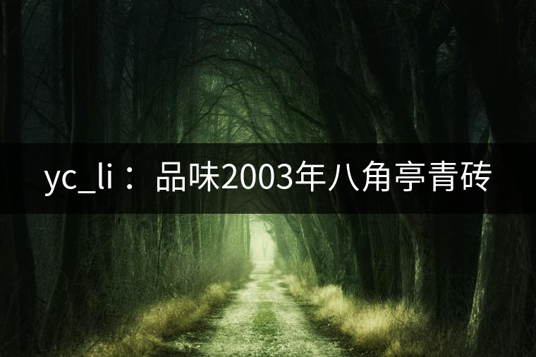 yc_li ：品味2003年八角亭青磚