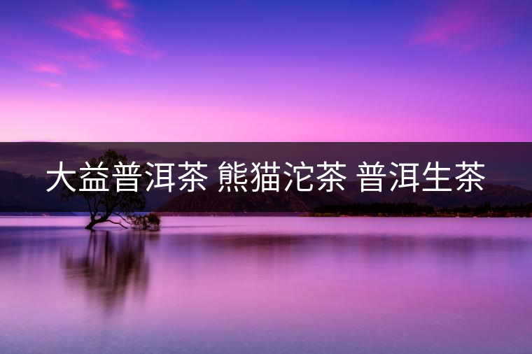 大益普洱茶 熊貓沱茶 普洱生茶