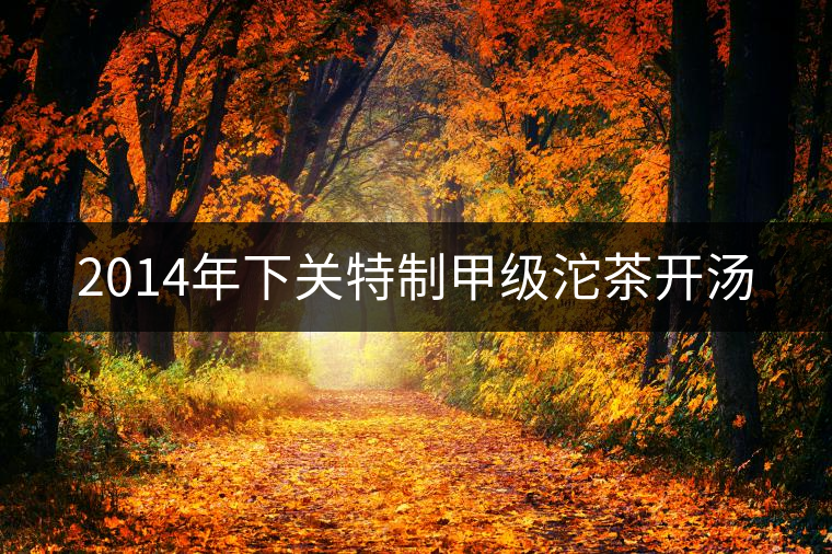 2014年下關(guān)特制甲級(jí)沱茶開湯 2014年下關(guān)特制甲級(jí)沱茶開湯