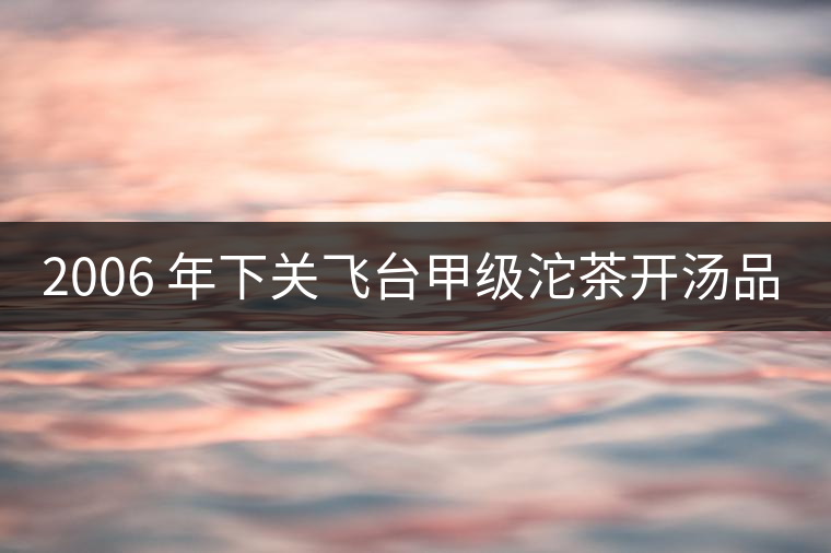 2006 年下關(guān)飛臺(tái)甲級(jí)沱茶開(kāi)湯品鑒 2006 年下關(guān)飛臺(tái)甲級(jí)沱茶開(kāi)湯品鑒