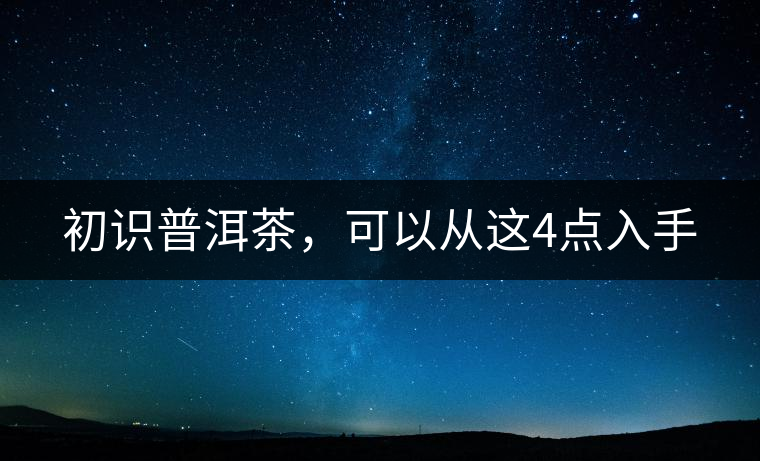 初識普洱茶，可以從這4點入手