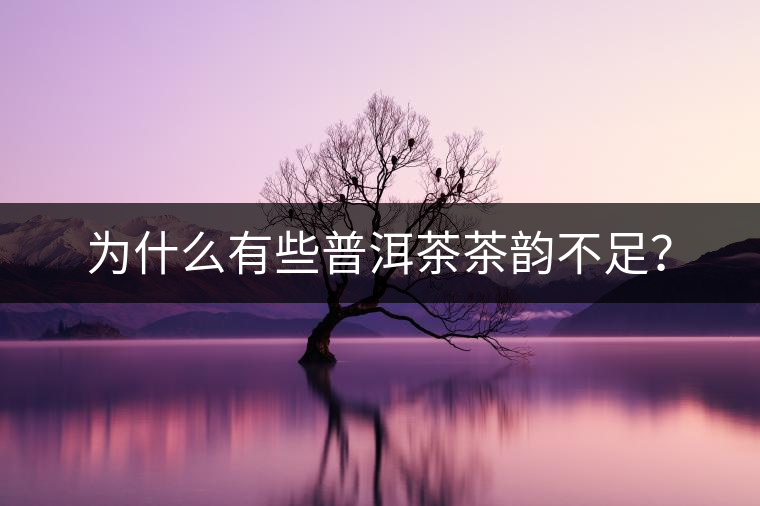 為什么有些普洱茶茶韻不足？