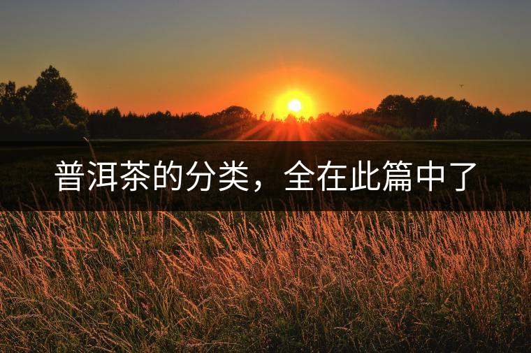 普洱茶的分類(lèi)，全在此篇中了