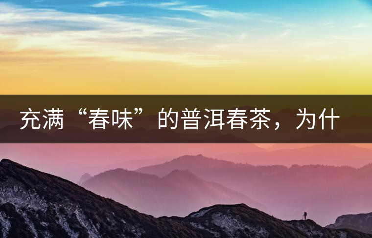 充滿“春味”的普洱春茶，為什么值得期待？